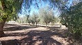 Hermosa Villa De Campo Con Piscina Y Terreno in Spanish Fincas