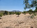 Haus mit 3 Schlafzimmern und 1 Schlafzimmer-Gästekabine in Spanish Fincas