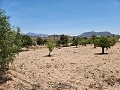 Haus mit 3 Schlafzimmern und 1 Schlafzimmer-Gästekabine in Spanish Fincas