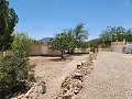 Huis met 3 slaapkamers en gastenhut met 1 bed in Spanish Fincas