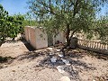 Maison de 3 chambres avec 1 lit cabine d'invités in Spanish Fincas