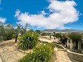 Charming villa located in Agost in Spanish Fincas