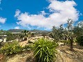 Charming villa located in Agost in Spanish Fincas