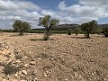 Landhaus mit 4 Schlafzimmern, Garage und Pool in Spanish Fincas