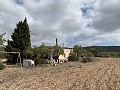 Landhaus mit 4 Schlafzimmern, Garage und Pool in Spanish Fincas