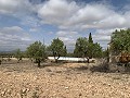 Landhuis met 4 slaapkamers, garage en zwembad in Spanish Fincas