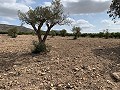 Maison de campagne avec 4 chambres, Garage et Piscine in Spanish Fincas