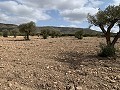 Maison de campagne avec 4 chambres, Garage et Piscine in Spanish Fincas