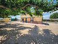 Belle maison avec plan ouvert au dernier étage à distance de marche de Villena in Spanish Fincas