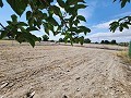 Belle maison avec plan ouvert au dernier étage à distance de marche de Villena in Spanish Fincas