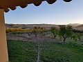 Finca de 7 chambres et 8 salles de bain à Alcoy in Spanish Fincas