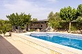 Beautiful villa with pool and guest house in Biar in Spanish Fincas