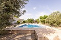 Beautiful villa with pool and guest house in Biar in Spanish Fincas