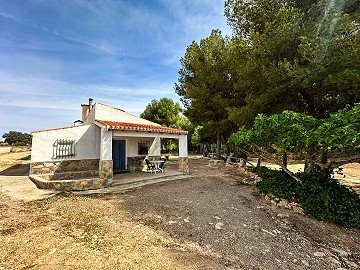 Prachtig veld met renovatiepotentieel in Almansa