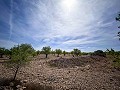 Prachtig veld met renovatiepotentieel in Almansa in Spanish Fincas