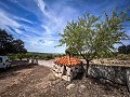 Magnífico campo con potencial de reforma en Almansa  in Spanish Fincas