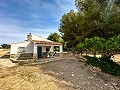 Magnificent country house with renovation potential in Almansa in Spanish Fincas