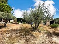 Magnifique villa de 2 étages à Castalla in Spanish Fincas