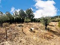 Maravillosa villa de 2 plantas en Castalla in Spanish Fincas