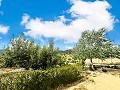 Magnifique villa de 2 étages à Castalla in Spanish Fincas