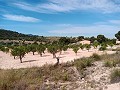 Villa de 2 dormitorios (posible 3 dormitorios) con vistas espectaculares in Spanish Fincas