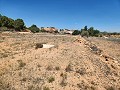 27.000m2 de terreno con cabaña de madera in Spanish Fincas