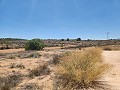 27 000 m2 de terrain avec cabane en bois in Spanish Fincas