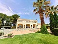 Amazing 6 bedroom 3 Bathroom Villa in Yecla in Spanish Fincas