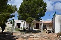 Maison troglodyte de 4 chambres sur un immense terrain in Spanish Fincas