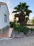 Lovely spiral villa in cañada de la Trigo in Spanish Fincas