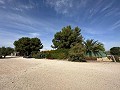 Private Campsite with a 4 Bed House in Spanish Fincas