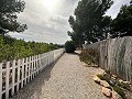 Private Campsite with a 4 Bed House in Spanish Fincas