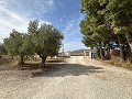 Entreprise de camping avec une maison de 4 chambres in Spanish Fincas