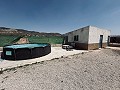 Villa with outbuildings in Abanilla in Spanish Fincas