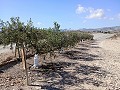 Precioso Terreno perfecto para una casa móvil y cerca de la playa in Spanish Fincas