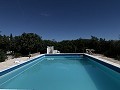 Impresionante villa de 4 dormitorios con piscina en Caudete in Spanish Fincas