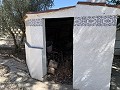 Impresionante villa de 4 dormitorios con piscina en Caudete in Spanish Fincas