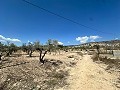 Charmante maison de campagne à rénover à Monóvar in Spanish Fincas