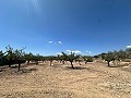 Charmant landhuis om te renoveren in Monóvar in Spanish Fincas