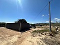 Charmantes Landhaus zum Renovieren in Monóvar in Spanish Fincas