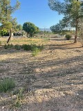 Land in Ubeda in Spanish Fincas