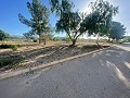 Terrain à Úbeda in Spanish Fincas