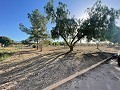 Grundstück in Ubeda in Spanish Fincas