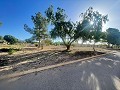 Grundstück in Ubeda in Spanish Fincas