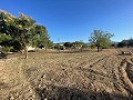 Terrain à Úbeda in Spanish Fincas