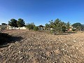 Terreno en Úbeda in Spanish Fincas