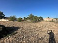 Terreno en Úbeda in Spanish Fincas