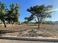 Terreno en Úbeda in Spanish Fincas