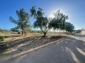 Land in Ubeda in Spanish Fincas