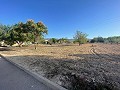 Terreno en Úbeda in Spanish Fincas